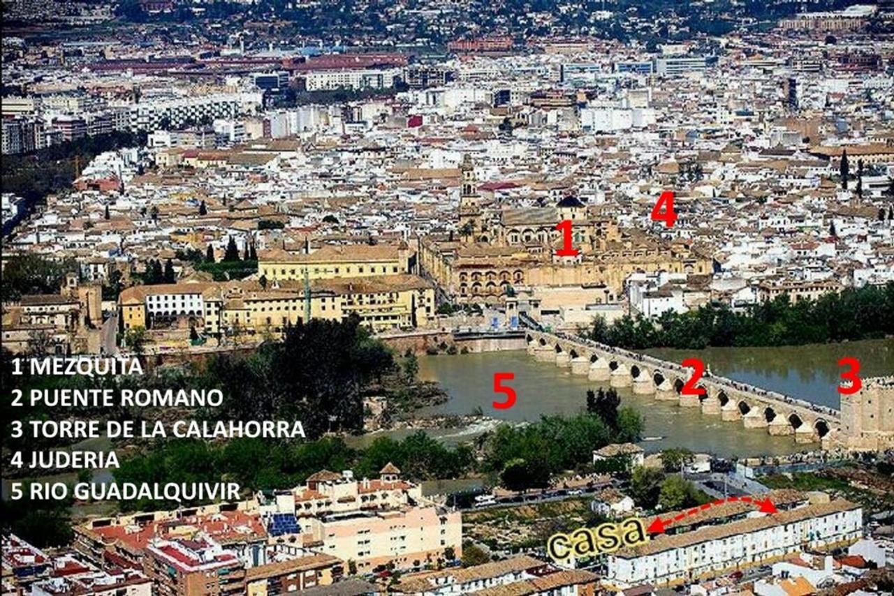 Apartamento Acogedor LOFT en Bajo CENTRICO CON PARKING WIFI Córdoba Exterior foto